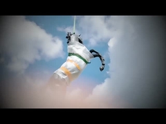 ব্রোঞ্জ ভাস্কর্য