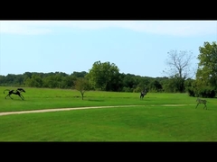 ব্রোঞ্জ ভাস্কর্য